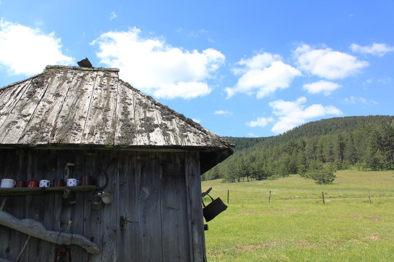 Vila Jela Tornik Zlatibor Exterior foto
